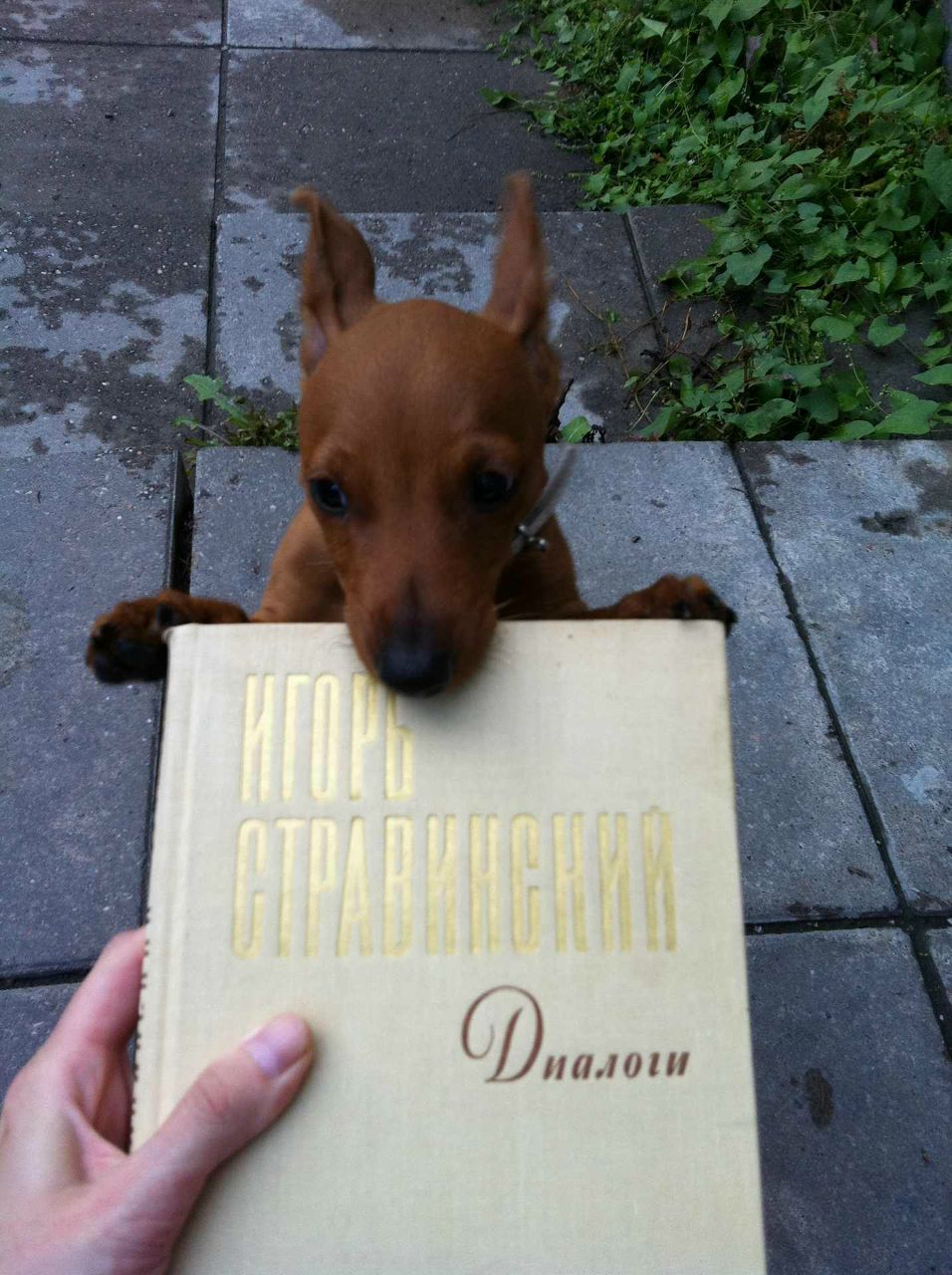 Natalya Grigri | Санкт-Петербург