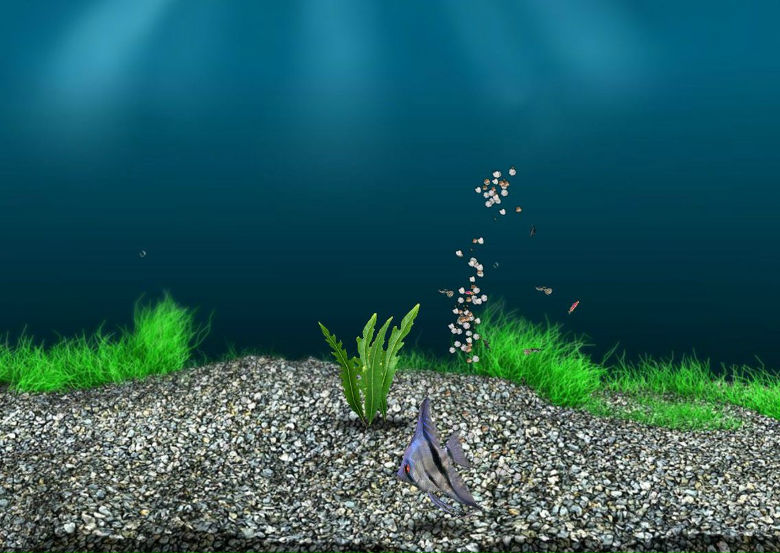 Даяна Полещук | Казань