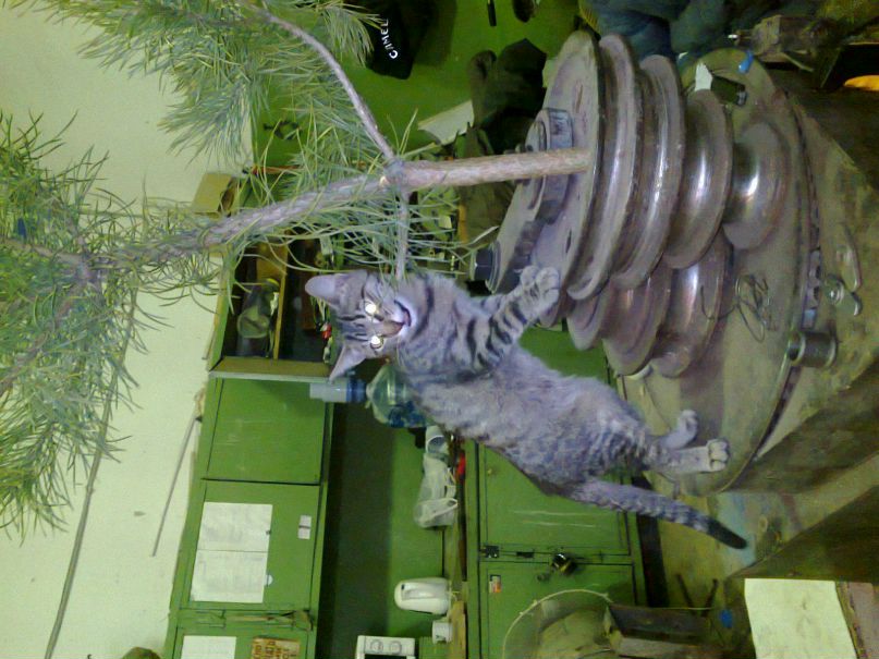 Андрей Бабичев | Нижний Новгород