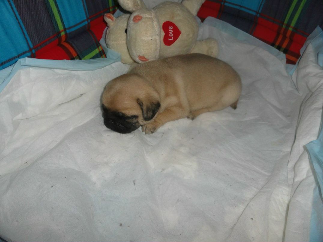 Ксения Заборова | Казань