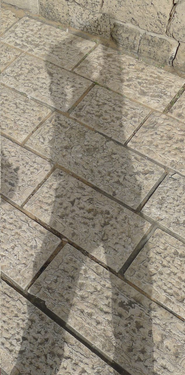 Ладимир Семенов | Санкт-Петербург