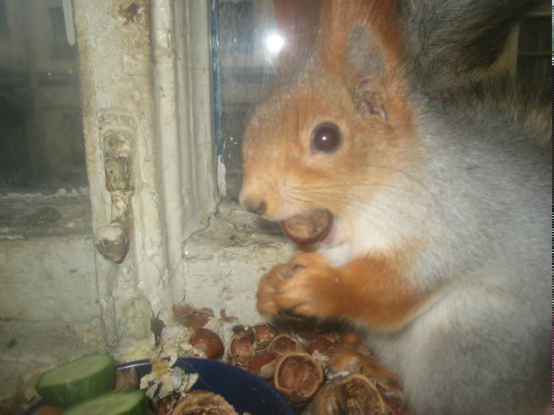 Марина Тосури | Санкт-Петербург