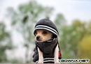 Фотография Александр Молчун