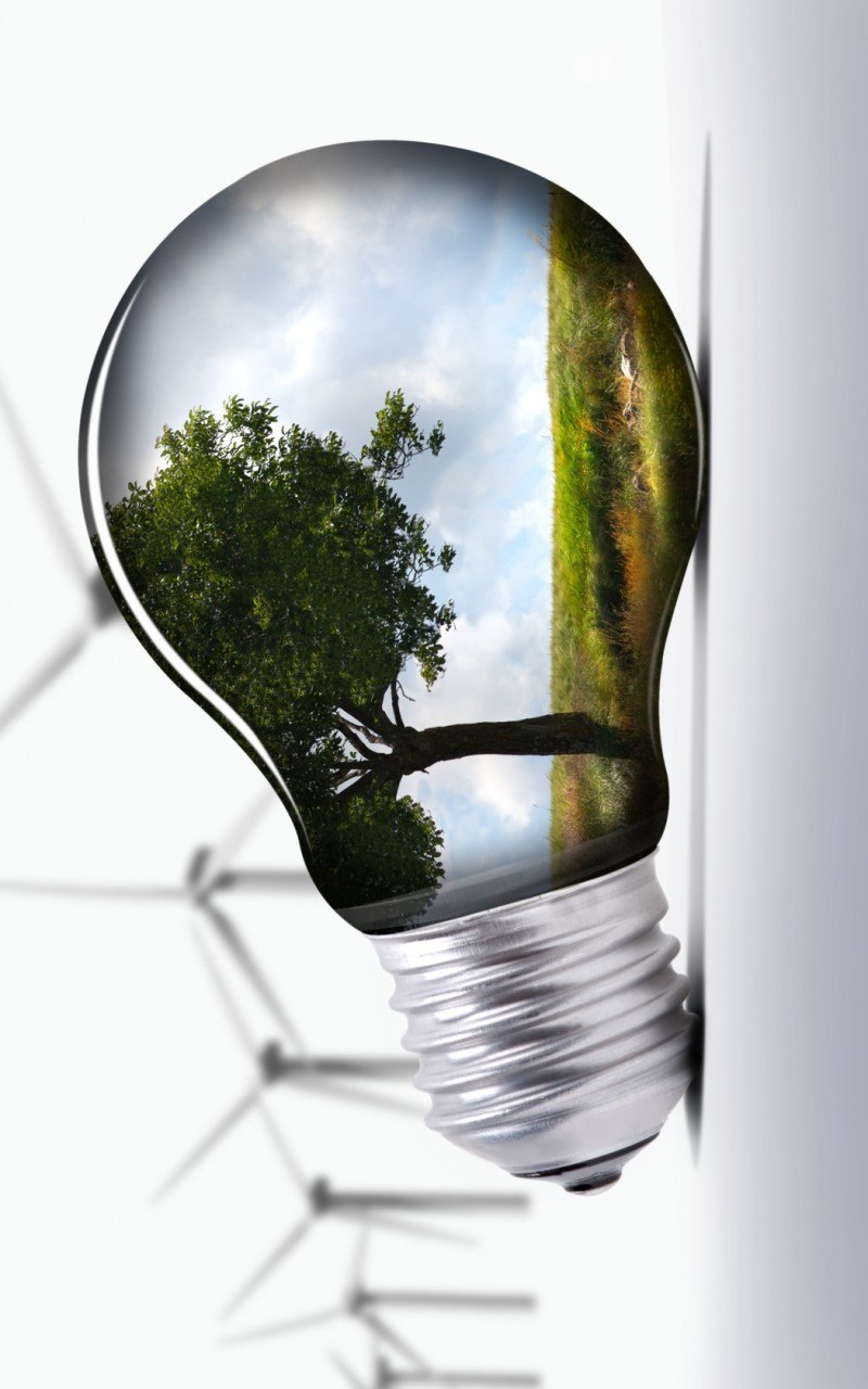 Владимир Бельцов Fox | 