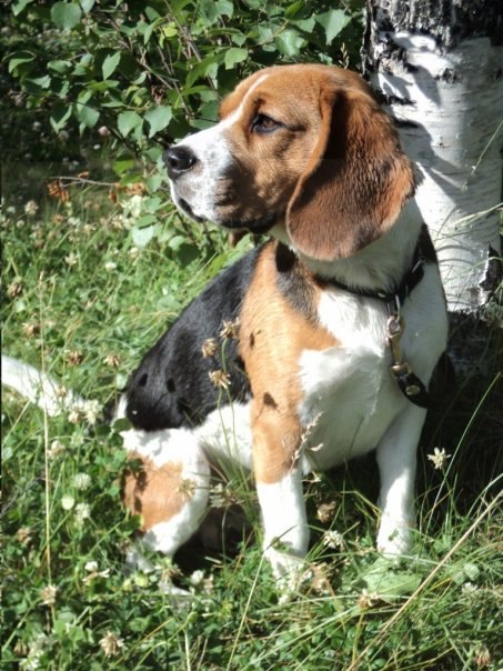 Никитос Бадырев | Санкт-Петербург