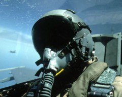 Джафар Алмазов | Auckland