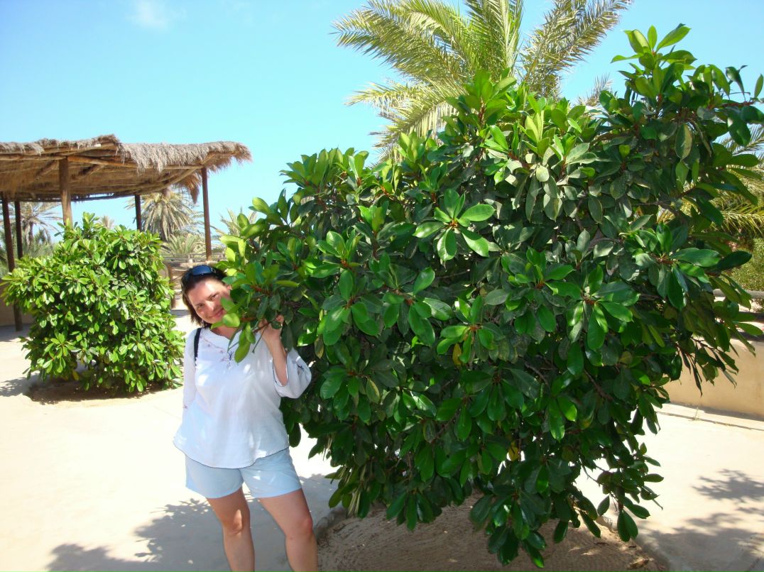 Ирина Васильева | Москва