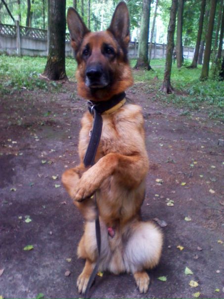 №43, Женя Федоренко, 36 лет, Гомель №43, Женя Федоренко, 36 лет, Гомель