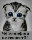 №28 Гульнара Гареева 09.10.1987: профиль, фото, статус - ВКонтакте