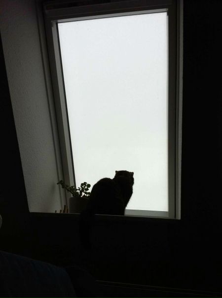 №35, Виктория Шамраева, Санкт-Петербург, Россия №35, Виктория Шамраева, Санкт-Петербург, Россия