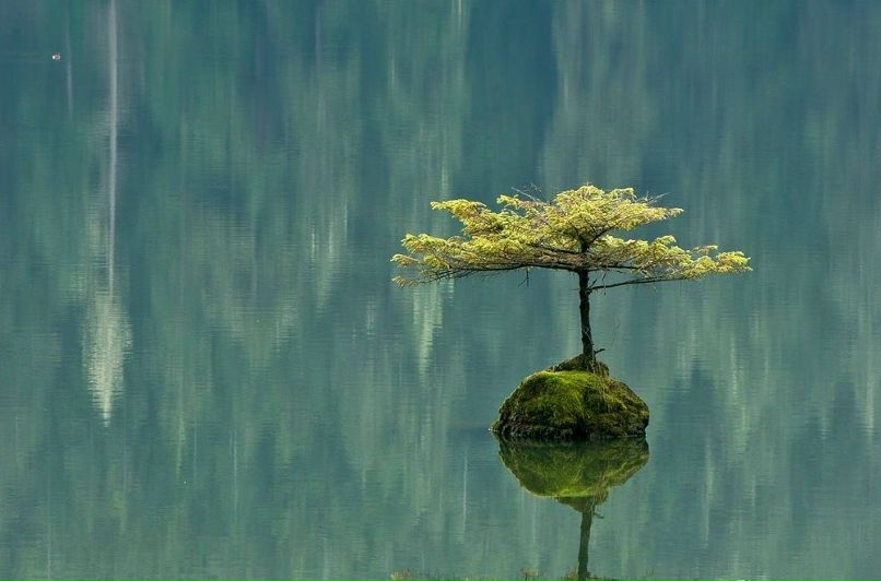 Алина Я-Выбираю-Свет | Москва