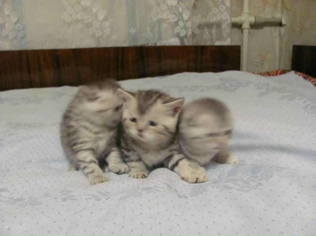 Оксана Акимова | Харьков