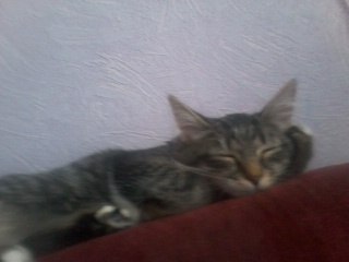 Екатерина Быстрова | Ухта