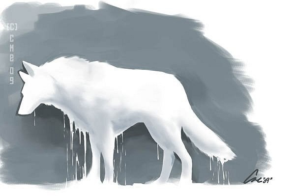 Евгений Усов Владимирович | Санкт-Петербург