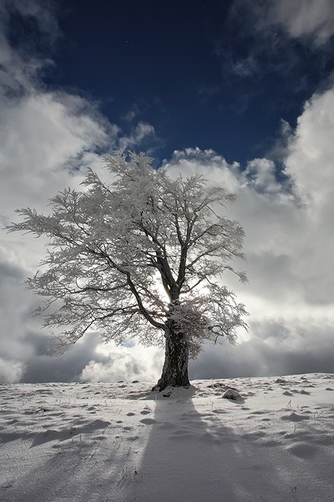 Александр Кулинский | Великий Новгород