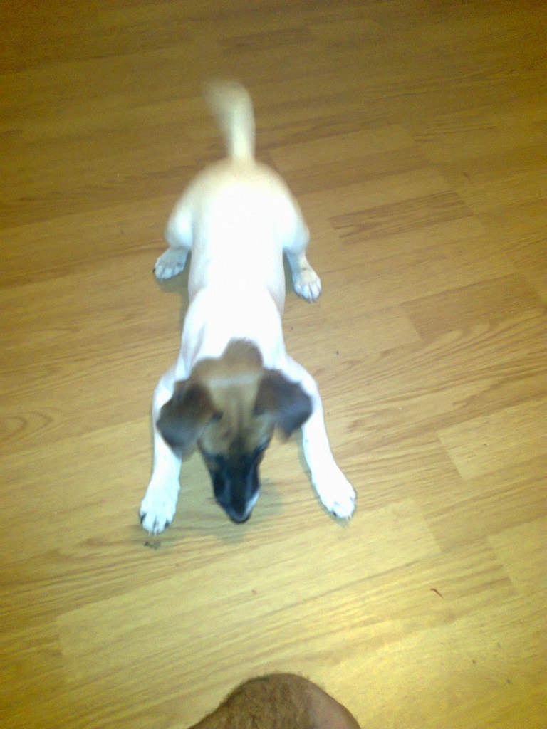 Карен Маркарян | Москва