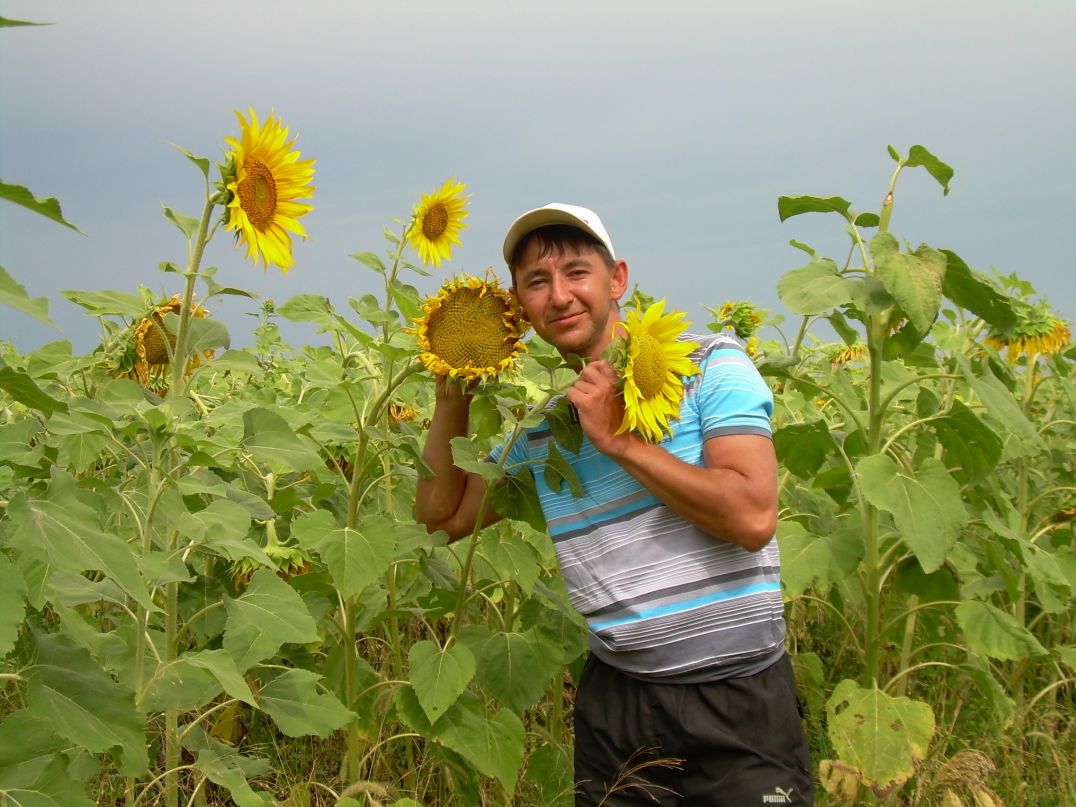 Рафис Хасаншин | Казань