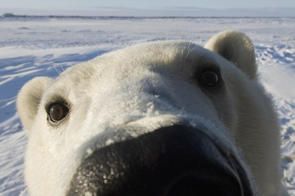 Макс Хроменко | Киев