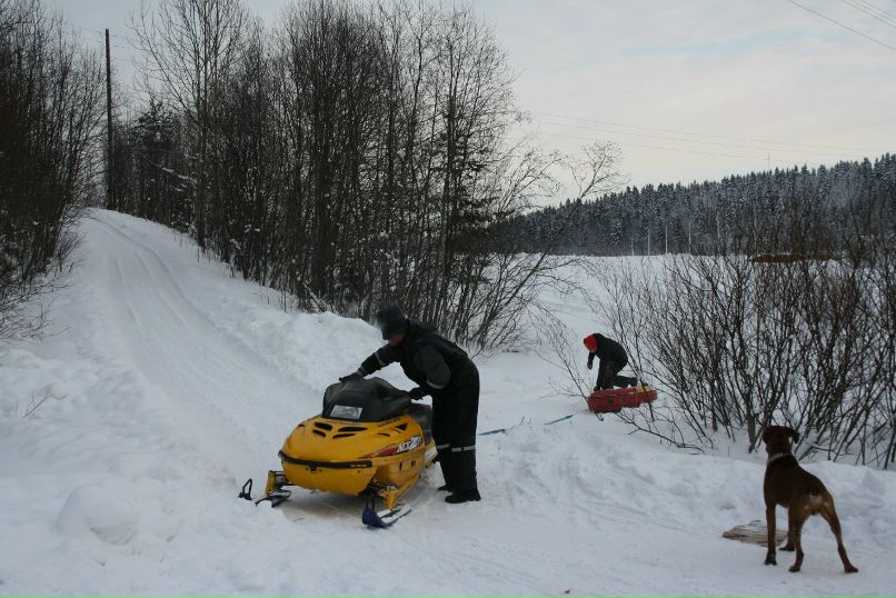 Дмитрий Старожитник | Сортавала