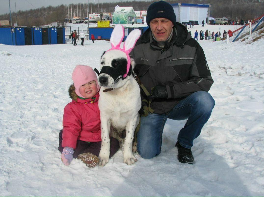 Алексей Гончаров | Мурманск