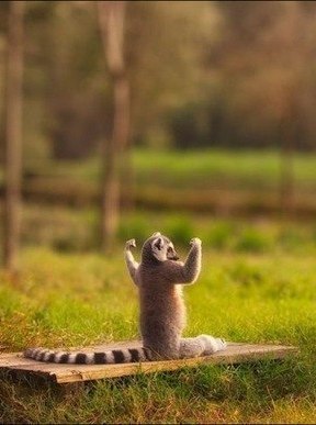 Inside Out | Санкт-Петербург