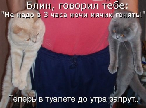 Александра Жнивина | Дмитров