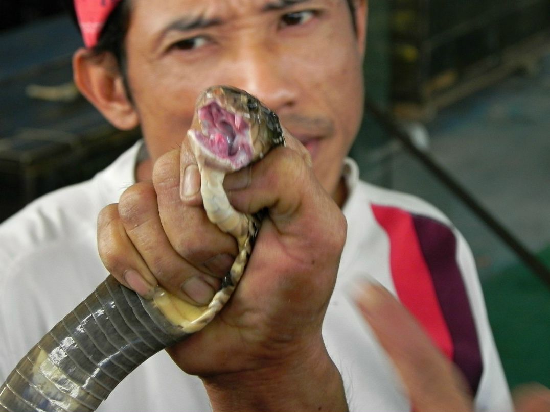 Катерина Царенко | Новосибирск