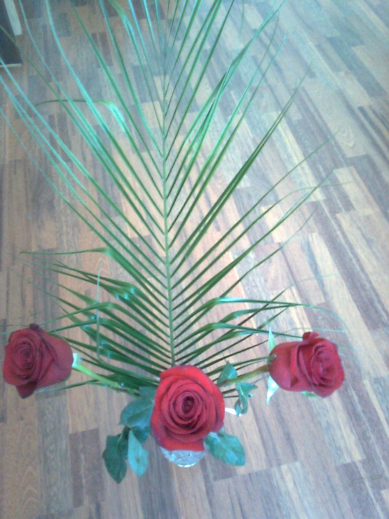 Марина Хохлова Михайловна | Москва