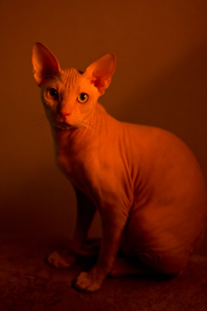 Таня Танская | Киев