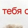 №89, Viktoriya Kalinina, Полярные Зори №89, Viktoriya Kalinina, Полярные Зори