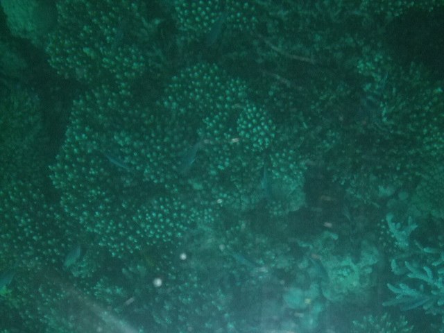 Сергей Кузнецов | Москва