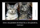 №27 Татьяна : профиль, фото, статус - ВКонтакте №27 Татьяна : профиль, фото, статус - ВКонтакте