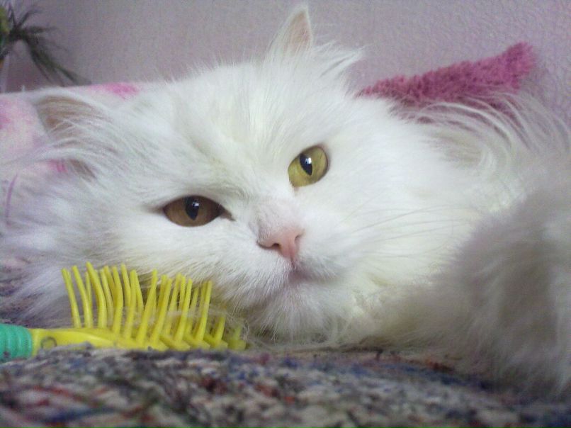 Елена Эпова | Челябинск