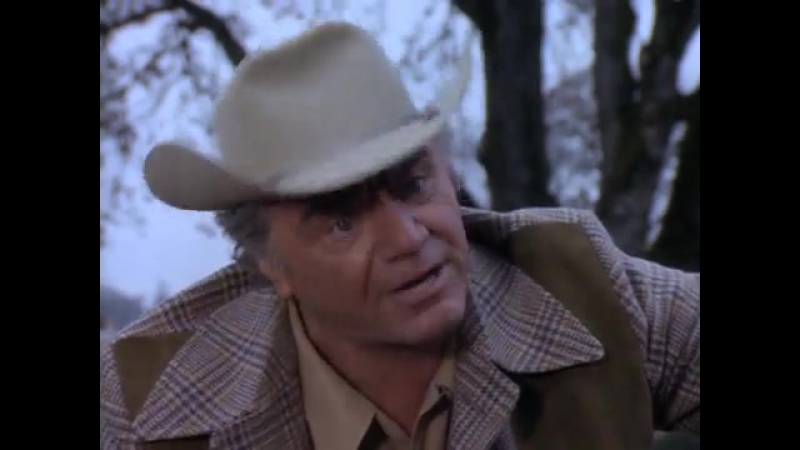 Fire (1977) Ernest Borgnine Vera Miles Patty Duke Alex Cord Donna Mills Lloyd Nolan Neville Brand Ty Hardin