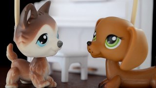 LPS сериал: “Ещё раз“ 2 серия