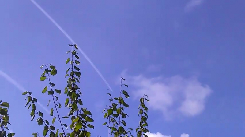 Химтрассы Хабаровск