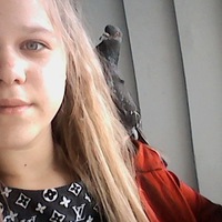 Анастасия Самсонова