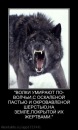 Фотография Константинов(сивов) Ильи