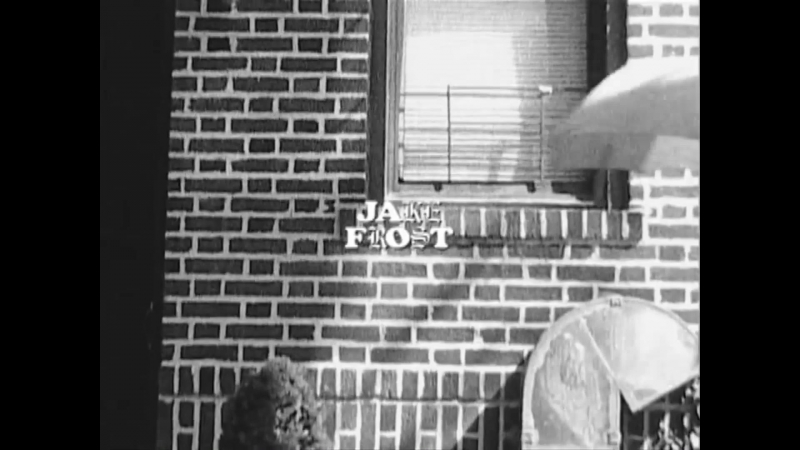 ALYK FED UP WITH THE BULLSHITDIG BMX Official2337 CUT