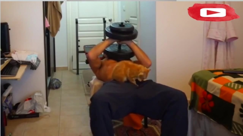 Самые смешные и нелепые ситуации тренажерном зале. Best Cross Fit