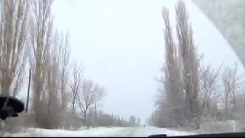 Актер Whats App Video 2017 10 17