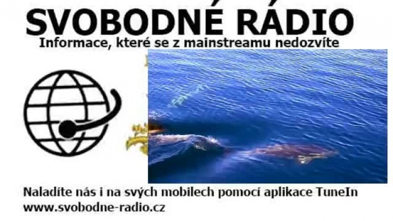 Live: Svobodné rádio Pro svobodné lidi.