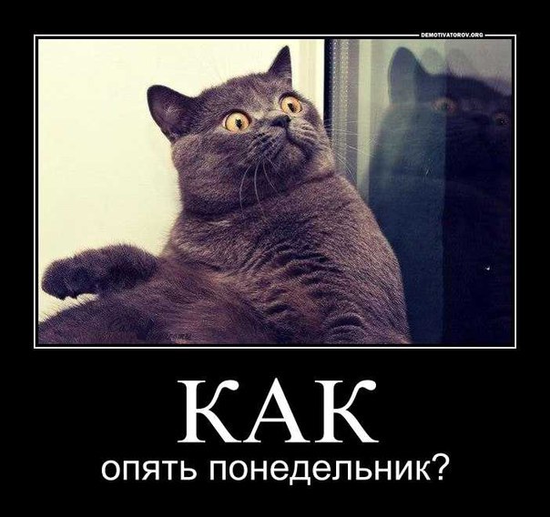 курицы подкупает веселые картинки опять на работу был вася