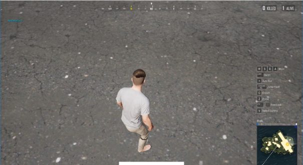 Список обновлений 0.7.1.48 в PUBG Lite (14.02.2019)