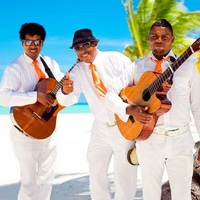 Карибская музыка. Люди и гитары из пальмы. Куба музыканты. Карибская музыка. Карибская вечеринка музыка слушать.