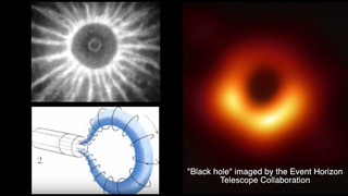 Wal Thornhill: Black Hole or Plasmoid? | Space News