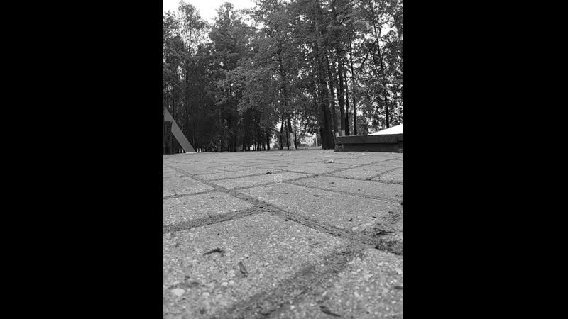 Свадьба_Михаила_и_Христины.mp4