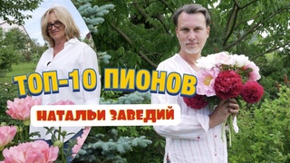 Обзор ранних сортов пиона