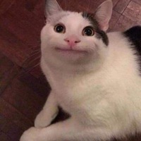 Дмитрий Матросов | Новочебоксарск