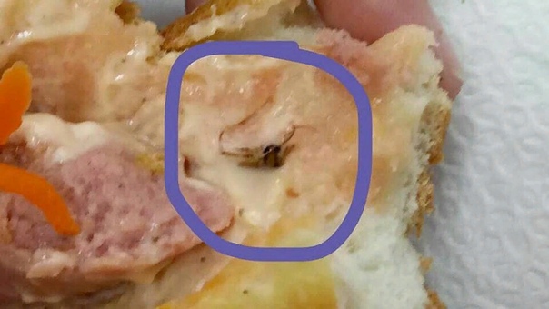 продукты от седины волос. здоровая диета. почему попадаются волосы в еде. волос в еде. ужасные вещи найденные в еде.